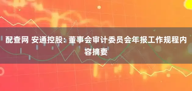配查网 安通控股: 董事会审计委员会年报工作规程内容摘要