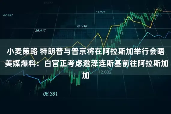 小麦策略 特朗普与普京将在阿拉斯加举行会晤 美媒爆料：白宫正考虑邀泽连斯基前往阿拉斯加