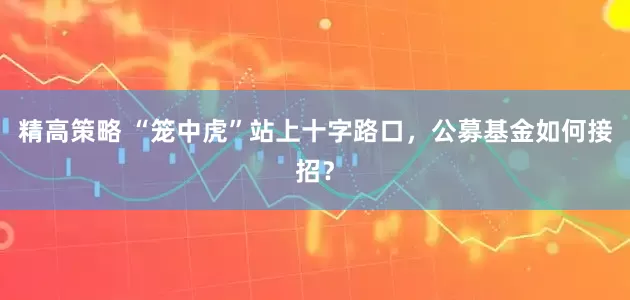 精高策略 “笼中虎”站上十字路口，公募基金如何接招？